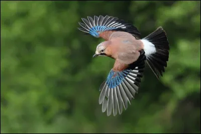 Ne vous moquez pas et trouvez le nom d'une héroïne de film !