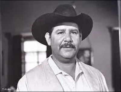 Quel est le nom de cet acteur ?