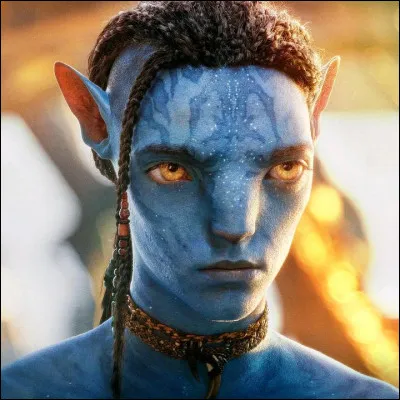 Deuxième fils de Jack Sully et Neytiri, il se sent seul et rejeté. Quel est son nom ?