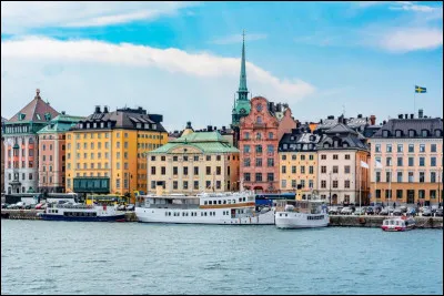 Ville : qu'est-ce que le Trädgården à Stockholm ?