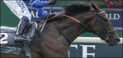 L'entraîneur de Baaeed est William Haggas.