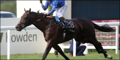 De quelle race est-il ?