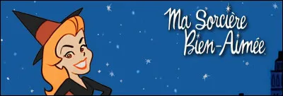 "Ma sorcière bien-aimée" est joué par Michelle Pfeiffer.