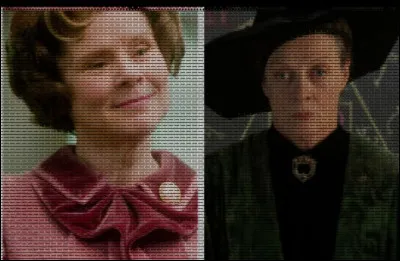 Quel est le Patronus de ces deux personnages rivaux ?