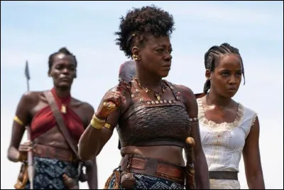 Quel film peut avoir ce synopsis : "Un groupe de femmes guerrières n'hésite pas à tuer pour protéger leur royaume" ?