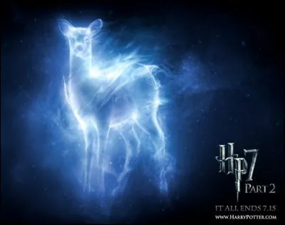 À qui appartient le Patronus de la biche ?
