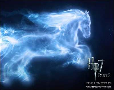 À qui appartient le Patronus du cheval ?