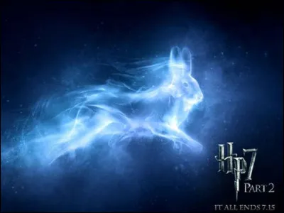 À qui appartient le Patronus du lièvre ?