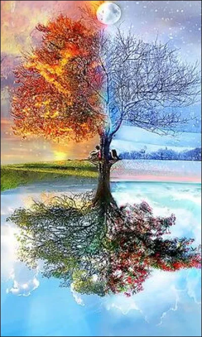 Quelle saison pr&eacute;f&egrave;res-tu ?