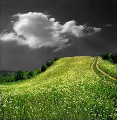 Retrouvez le bon proverbe :