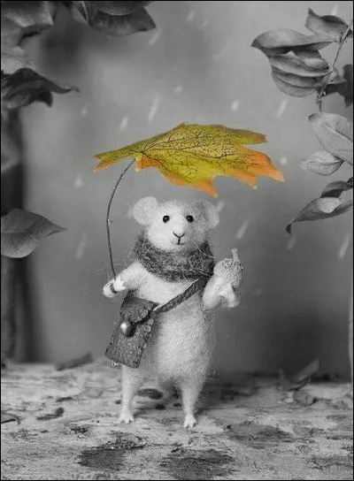 Que dit-on à un voisin qui vous court sur le haricot et qui vous annonce son déménagement ?