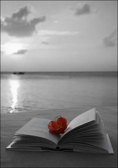 À quel écrivain devons-nous "Vent de sable" ?