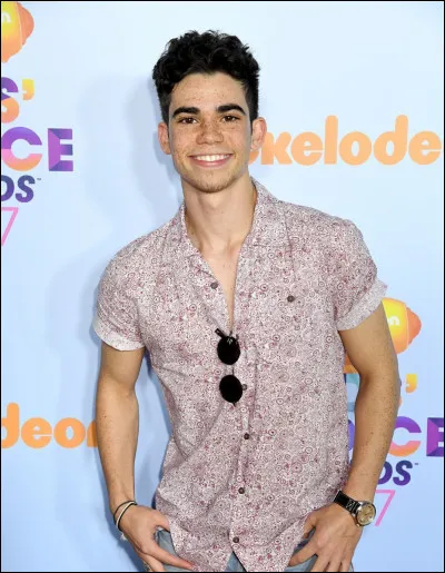 Qui interprète le rôle de Luke ?