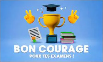 Je révise beaucoup pour mon examen de la semaine prochaine qui me fait beaucoup stresser.