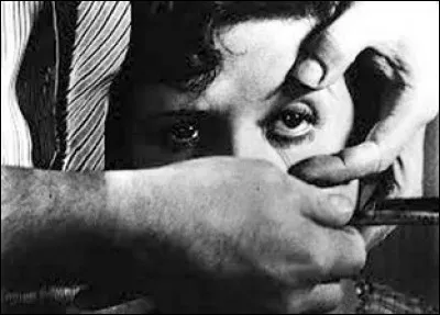 Qui est le réalisateur du film surréaliste "Un chien andalou" ?
