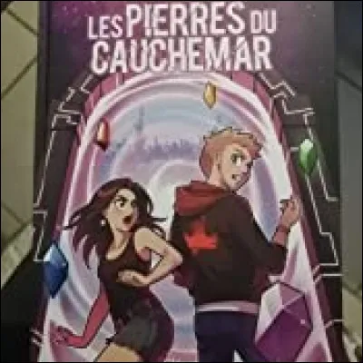 Avec qui a-t-elle fait cette bande dessinée ?
