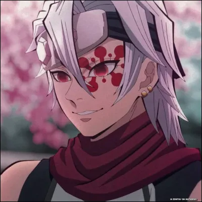 Quelles sont les blessures que Gyutaro a infligées à Tengen ?