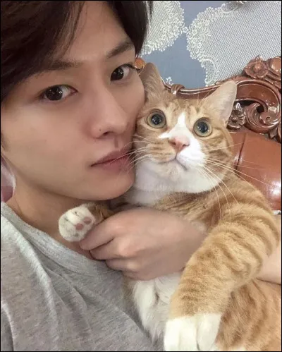 Combien a-t-il de chat(s) ?