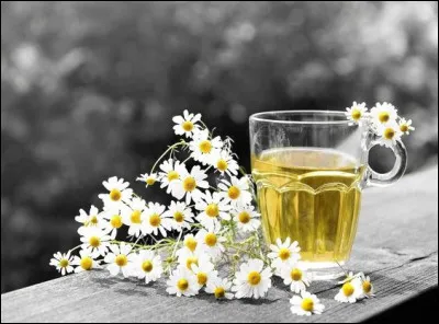 Quelle est la boisson dont Homer Simpson abuse copieusement ?