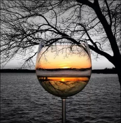 Quelle boisson figure dans le titre d'un livre de Stendhal ?