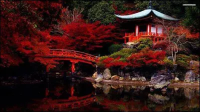 Comment les caractères chinois sont-ils appelés ?