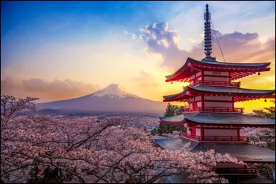 Combien de mois la femme doit-elle attendre après avoir divorcé pour avoir le droit de se remarier ?