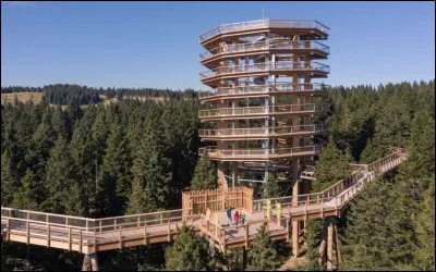 Quel est le nom de ce sentier d'un kilomètre à hauteur d'arbres et qui comprend une tour panoramique de 30 mètres ?