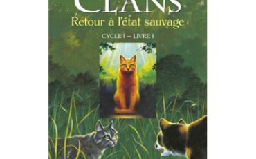 Quiz La guerre des clans