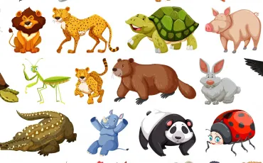 Quiz Animaux