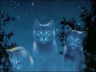 Crois-tu au clan des Étoiles ?