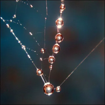 "Moi je t'offrirai / des perles de pluie / venues de pays / où il ne pleut pas...". Quelle est cette chanson de Jacques Brel, sortie en 1966 ?