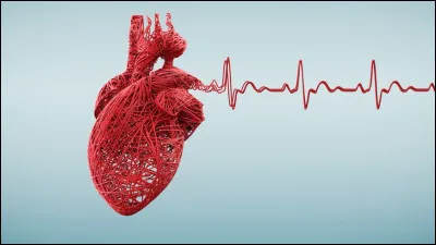 Combien le cur humain possède-t-il de ventricules ?