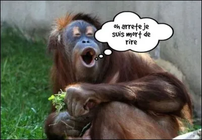 Quelle série Alex Mitchell regardait-il lorsqu'il est mort de rire ?