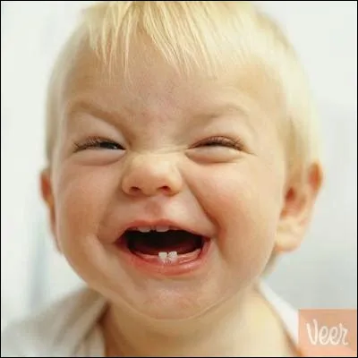 Quel animal des aventures de Pinocchio de Carlo Collodi meurt de rire ?