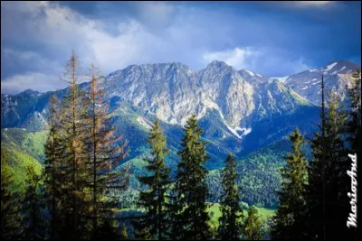 Comment les communes sont-elles appelées en Pologne ?