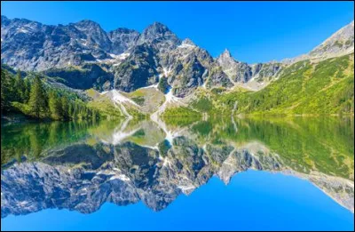 Quel terme désigne les meurtres de masse commis par les Nazis en Pologne notamment durant la Seconde Guerre mondiale ?