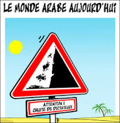 Vous savez que dans certains quartiers de la capitale, les Arabes n'osent plus sortir tout seuls le soir !