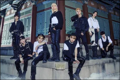 Quel est leur premier album ?