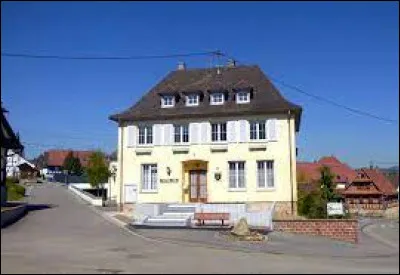Nous partons près de la frontière allemande, à Steinseltz. Village en Outre-Forêt, il se situe dans le département ...