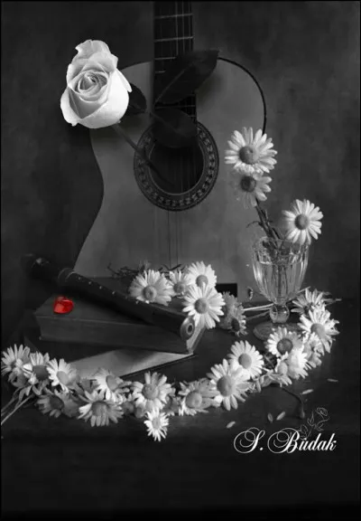 Quel groupe commence une de ses chansons par "♫ Quelque chose en toi ne tourne pas rond ♪ ♫" ?