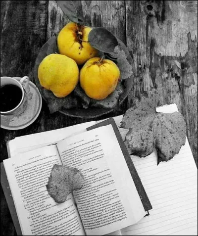 Qui a écrit "Le Petit Chose" ?