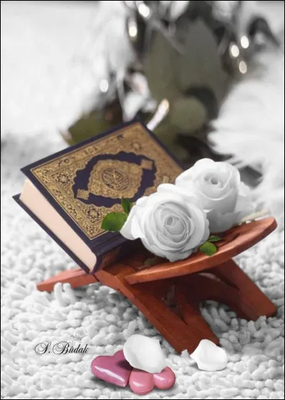 Qui est l'auteur du livre "Toutes ces choses qu'on ne s'est jamais dites" ?