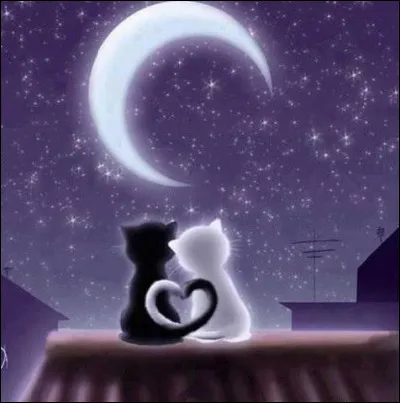 À quel groupe répond la lune par les paroles "♫ ♫ Je n'ai pas grand chose à te dire, et pas grand chose pour te faire rire ♫" ?