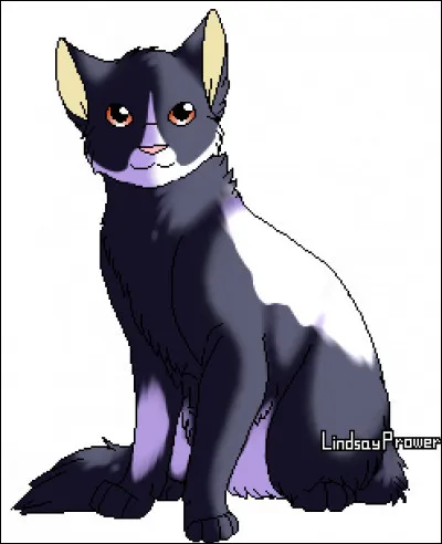 Qui est ce chat ?
(Le nom du chef.)