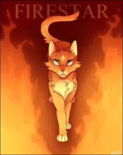 Qui est ce chat ?
(Le nom du guerrier.)