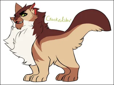 Qui est ce chat ?
(Nom du chef.)