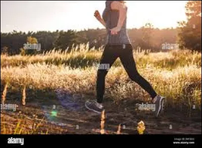 Quel est ton sport préféré ?