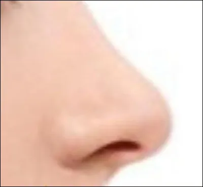 Quel est le plus petit des châteaux de la Loire ?