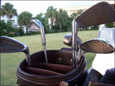 Quelle araignée peut être simple, germanique ou terrestre ?