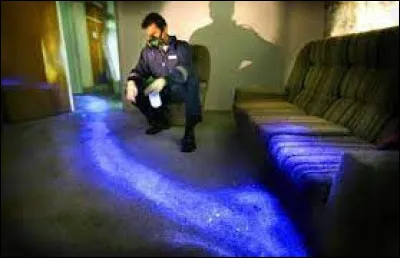 Quelle substance, contenue dans le Blue Star, permet de révéler les plus infimes particules de sang même après un nettoyage minutieux ?